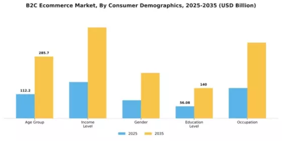 South America B2C E commerce Market Segment Image 0