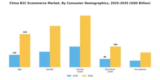 China B2C E commerce Market Segment Image 0