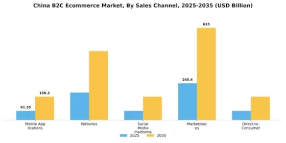 China B2C E commerce Market Segment Image 2