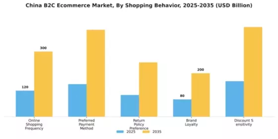 China B2C E commerce Market Segment Image 3