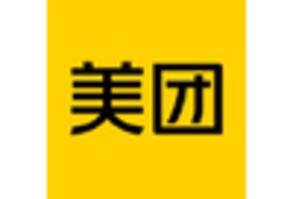 China B2C E commerce Market key player