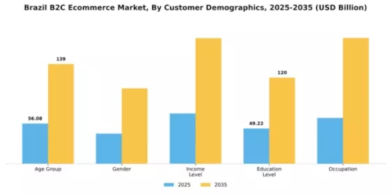 Brazil B2C E commerce Market Segment Image 0