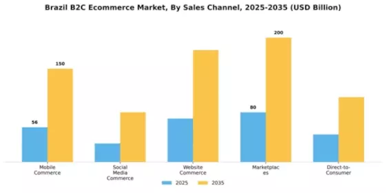 Brazil B2C E commerce Market Segment Image 2