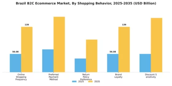 Brazil B2C E commerce Market Segment Image 3