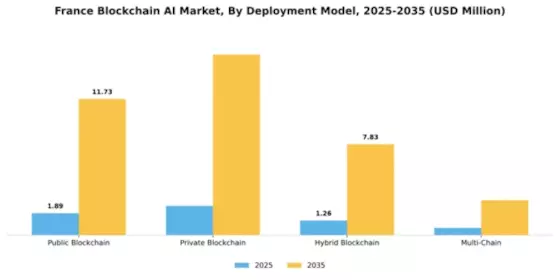 France Blockchain AI Market Segment Image 1