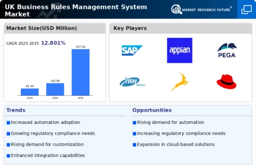 UK Business Rules Management System Market Infographic