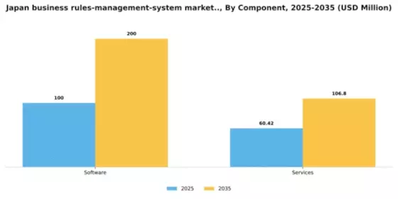 Japan Business Rules Management System Market Segment Image 1