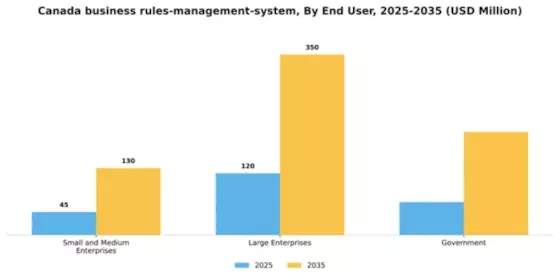 Canada Business Rules Management System Market Segment Image 3