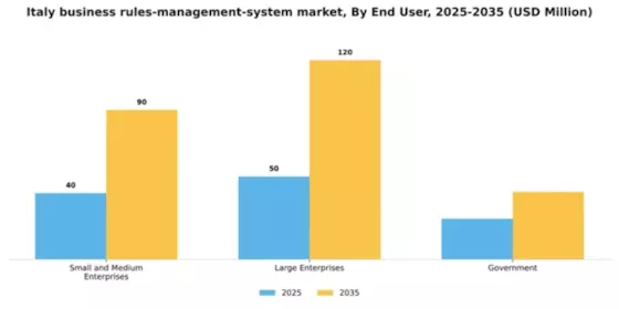 Italy Business Rules Management System Market Segment Image 3