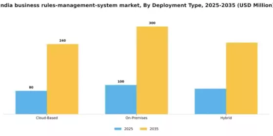 India Business Rules Management System Market Segment Image 2