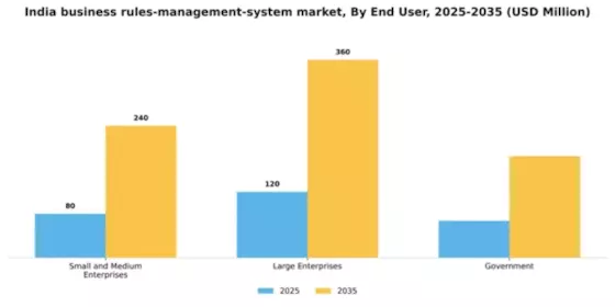 India Business Rules Management System Market Segment Image 3