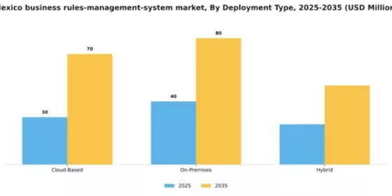 Mexico Business Rules Management System Market Segment Image 2