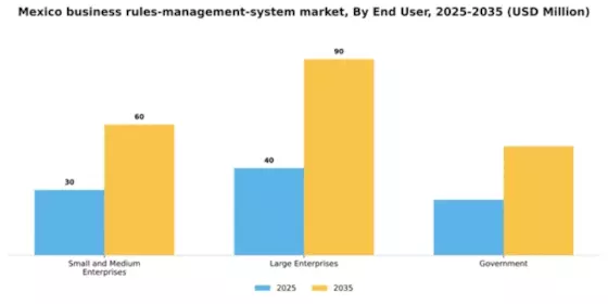 Mexico Business Rules Management System Market Segment Image 3