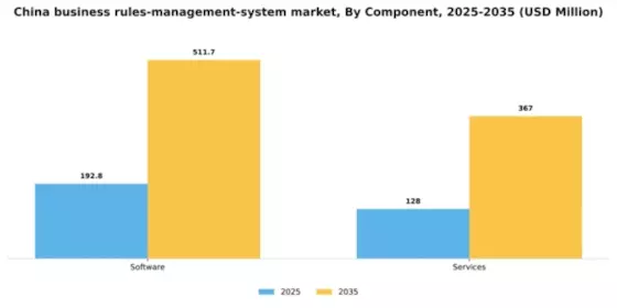 China Business Rules Management System Market Segment Image 1