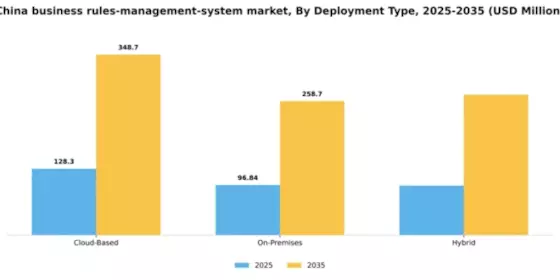 China Business Rules Management System Market Segment Image 2