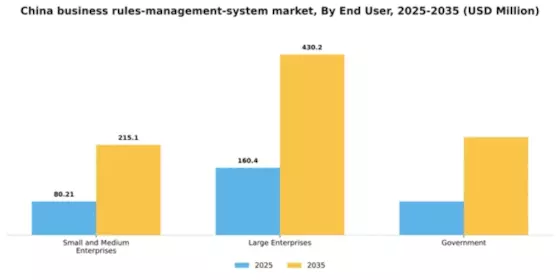 China Business Rules Management System Market Segment Image 3