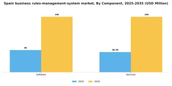 Spain Business Rules Management System Market Segment Image 1