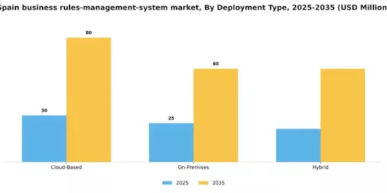Spain Business Rules Management System Market Segment Image 2