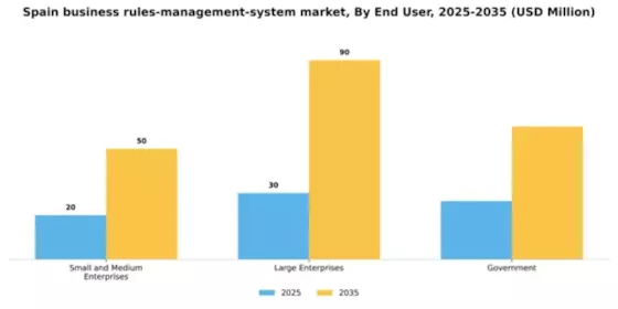 Spain Business Rules Management System Market Segment Image 3