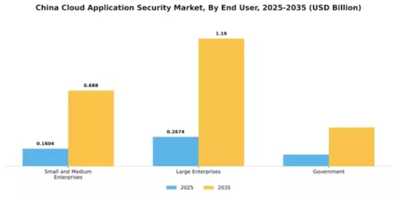 China Cloud Application Security Market Segment Image 3