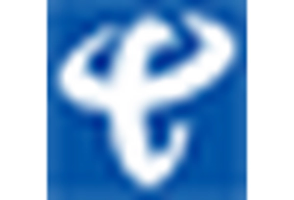 China Cloud Application Security Market key player