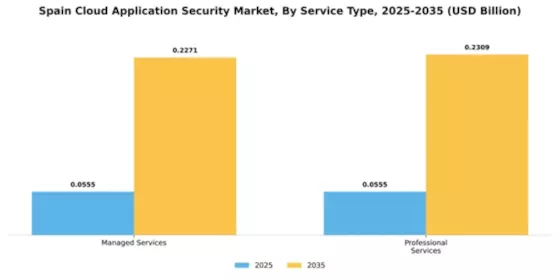 Spain Cloud Application Security Market Segment Image 4