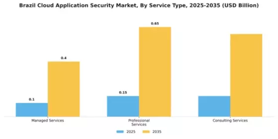 Brazil Cloud Application Security Market Segment Image 4