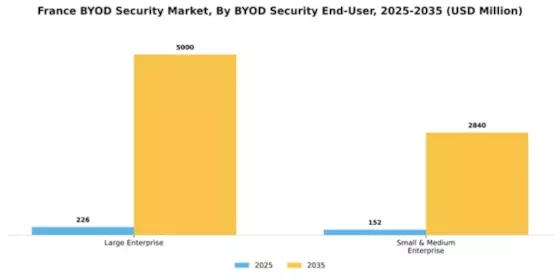 France BYOD Security Market Segment Image 1