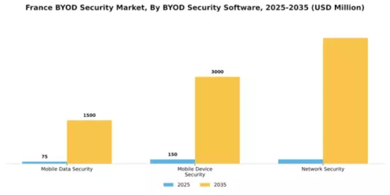 France BYOD Security Market Segment Image 2