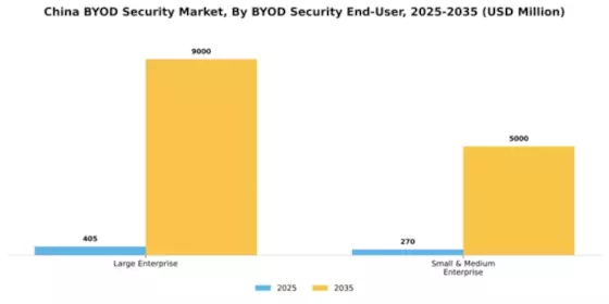 China BYOD Security Market Segment Image 1