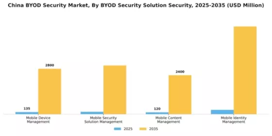 China BYOD Security Market Segment Image 3
