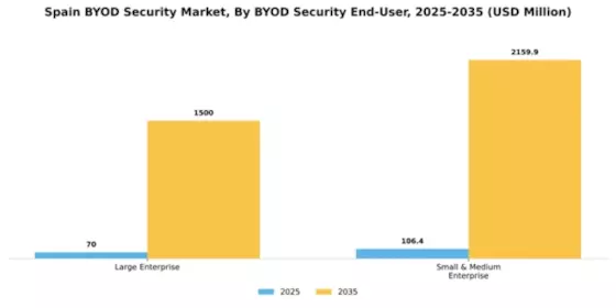 Spain BYOD Security Market Segment Image 1