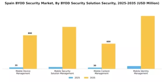 Spain BYOD Security Market Segment Image 3