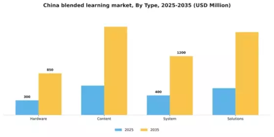 China Blended Learning Market Segment Image 1