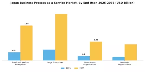 Japan Business Process as a Service Market Segment Image 1