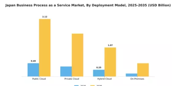 Japan Business Process as a Service Market Segment Image 0