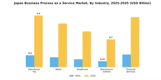 Japan Business Process as a Service Market Segment Image 2