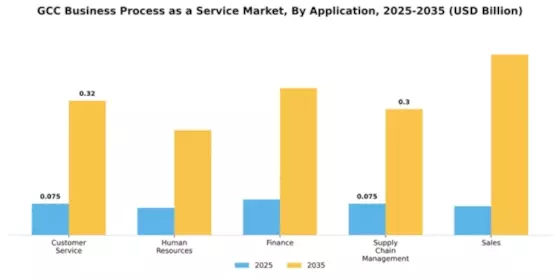 GCC Business Process as a Service Market Segment Image 0