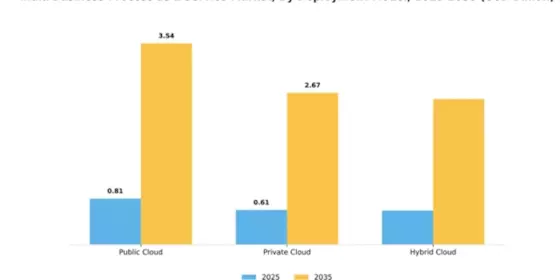 India Business Process as a Service Market Segment Image 1