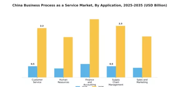 China Business Process as a Service Market Segment Image 0