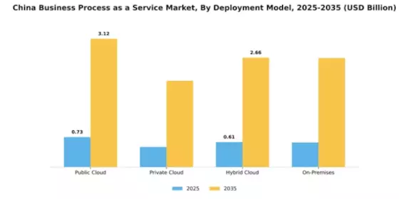 China Business Process as a Service Market Segment Image 1