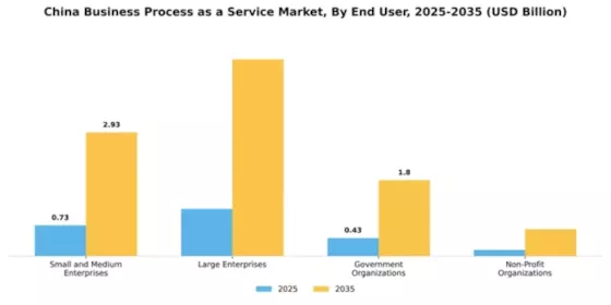China Business Process as a Service Market Segment Image 2