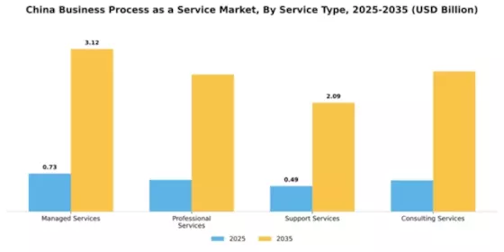 China Business Process as a Service Market Segment Image 3