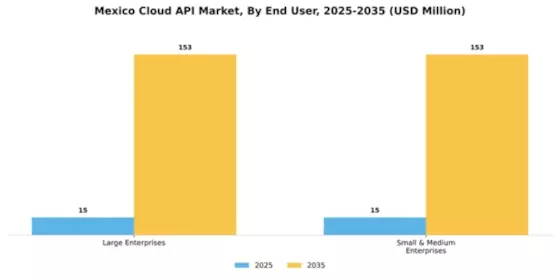 Mexico Cloud API Market Segment Image 0