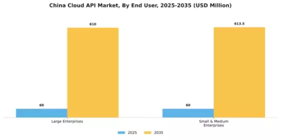 China Cloud API Market Segment Image 0