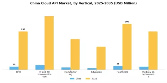 China Cloud API Market Segment Image 1