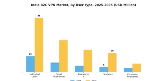 India B2C VPN Market Segment Image 4