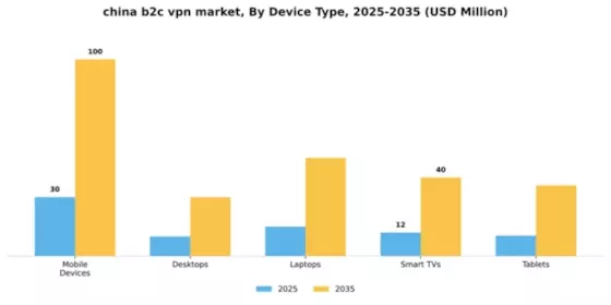 China B2C VPN Market Segment Image 1