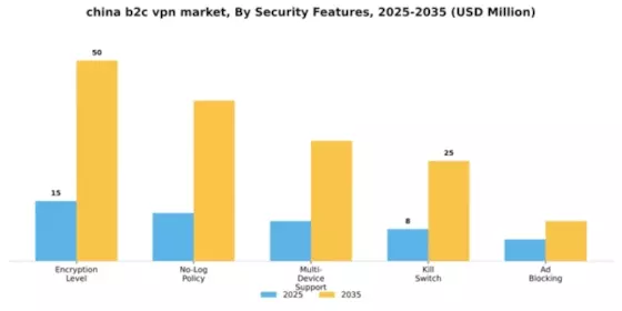 China B2C VPN Market Segment Image 2