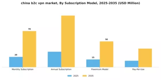 China B2C VPN Market Segment Image 3